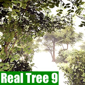 Realistic Tree Pack 9 (Mobile/Desktop)
