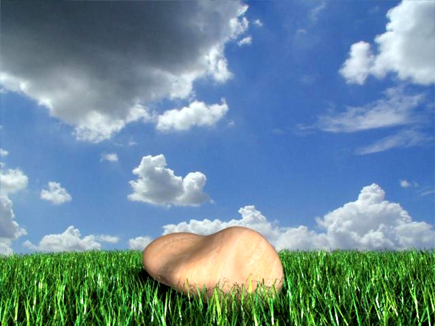 stone on the grass-Vray