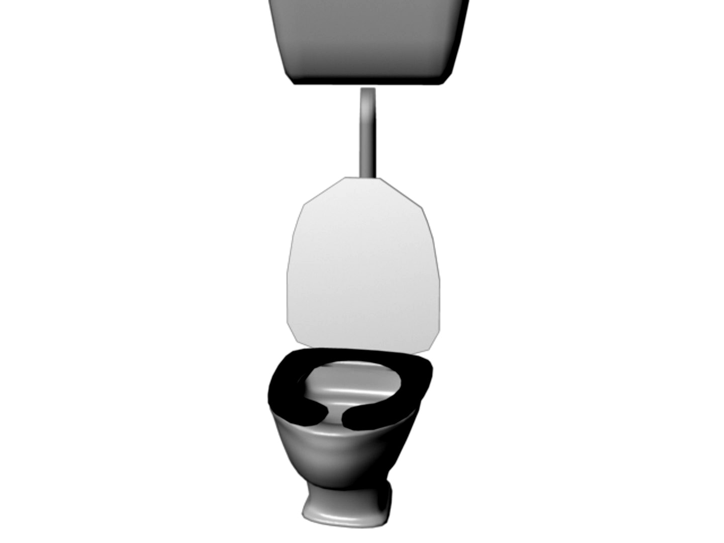 Flush Toilet