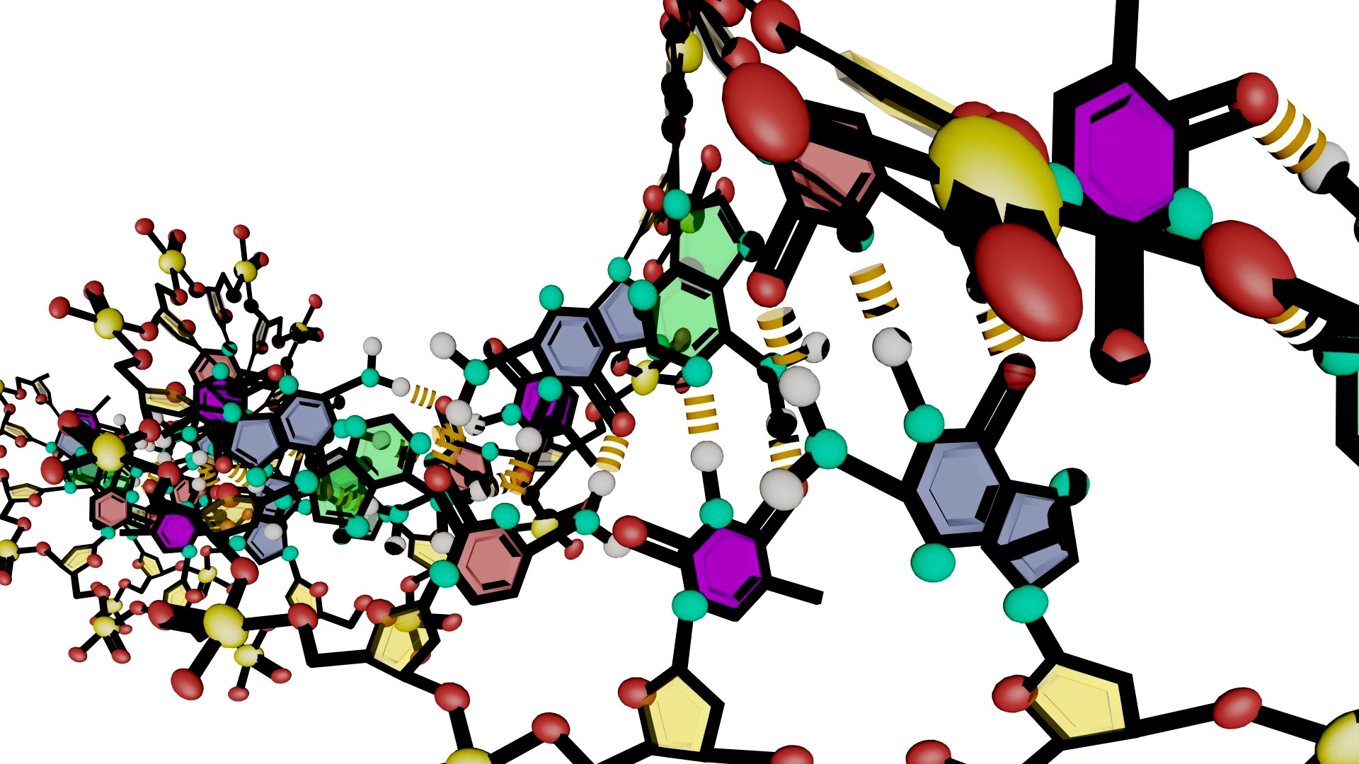 Deoxyribonucleic acid (DNA)