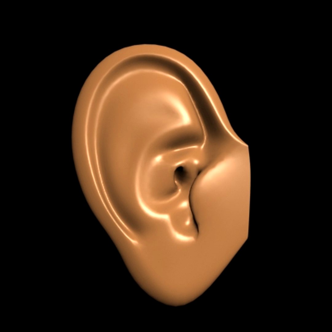 Ear