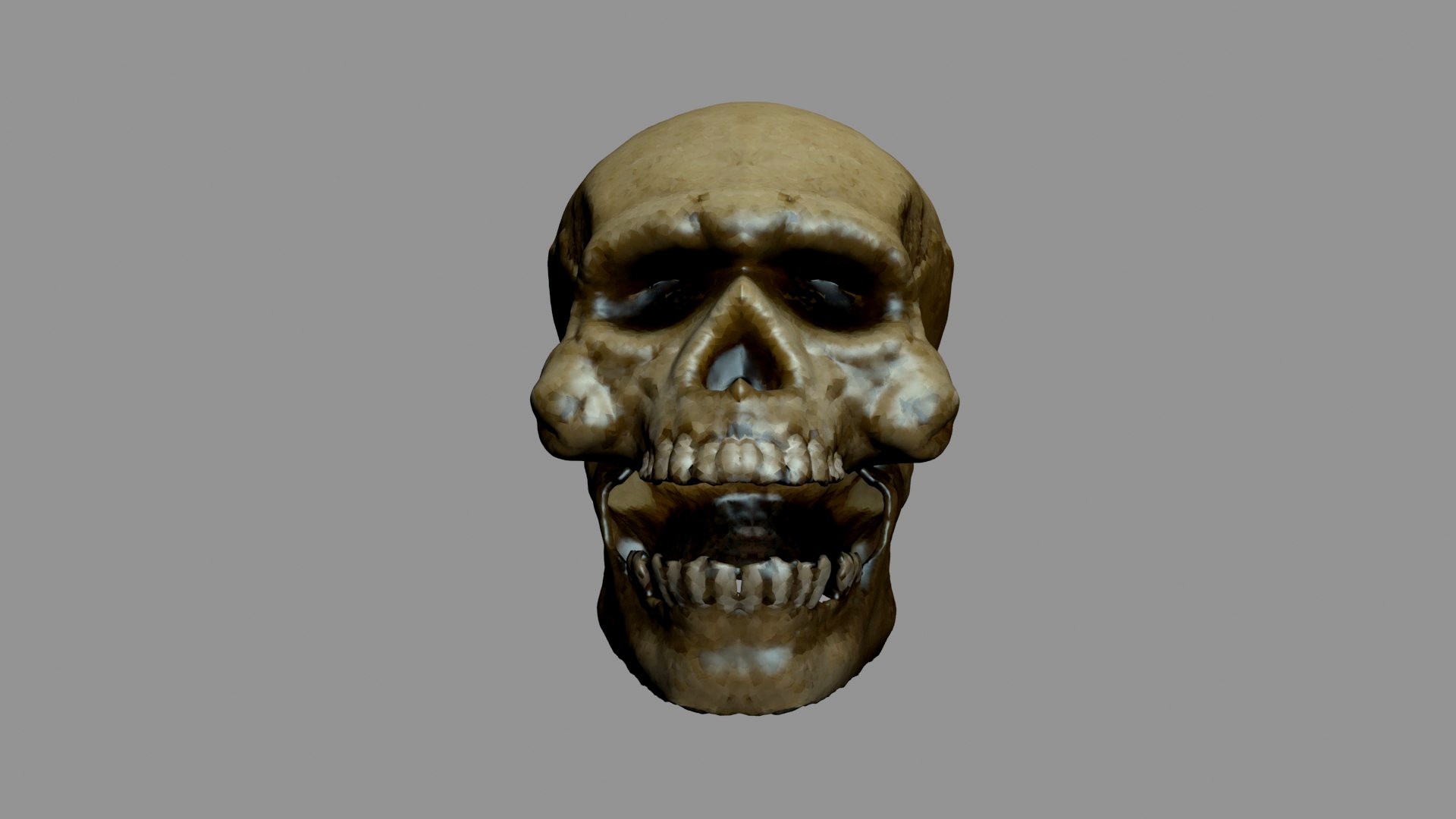 Skull