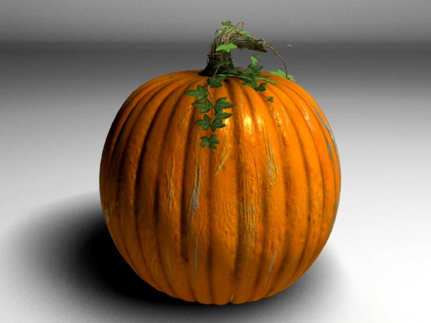 Pumpkin