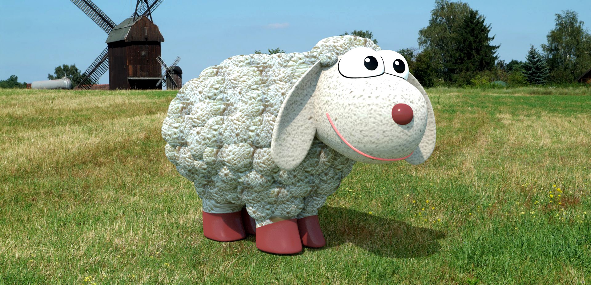 sheep