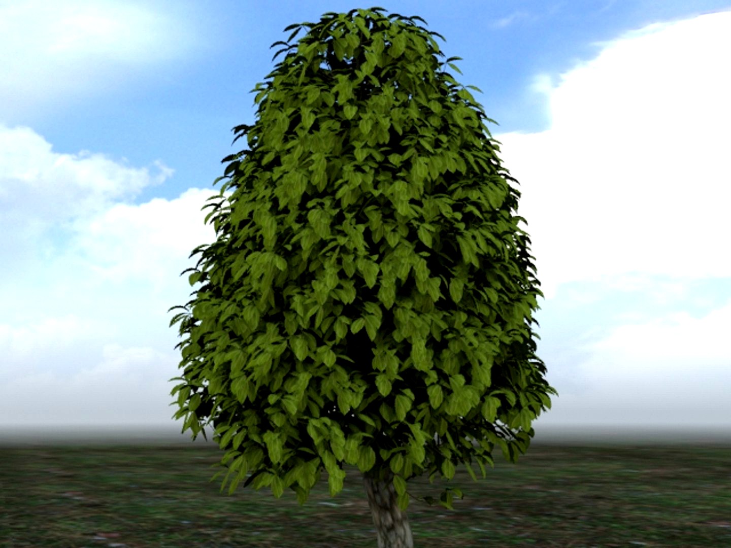 tree2