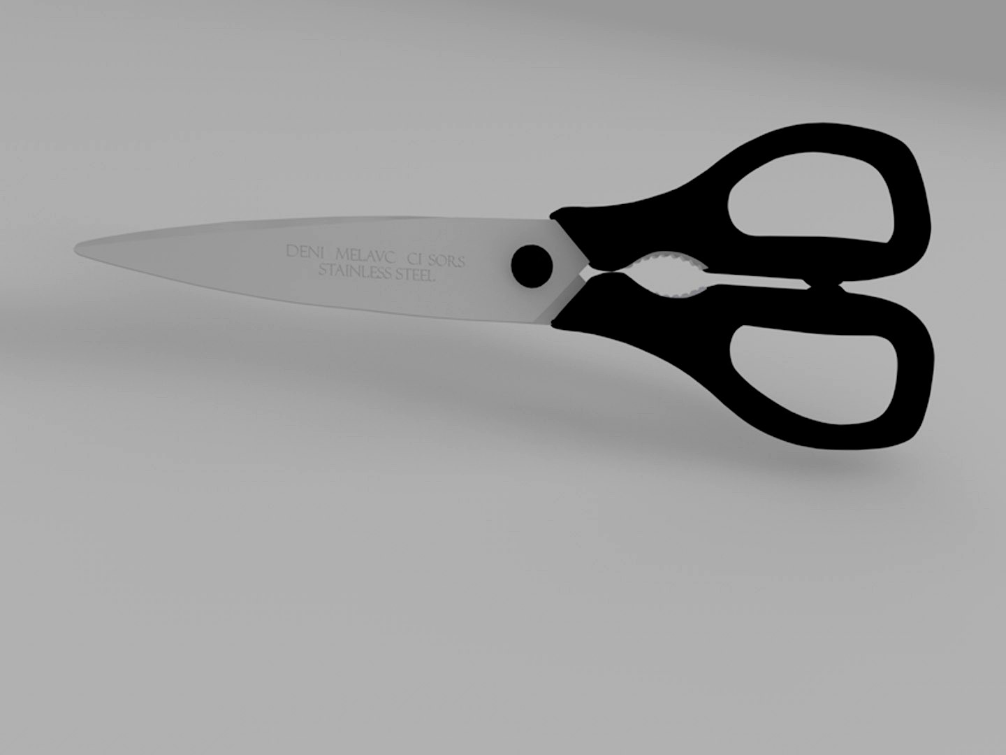 Stainless Steel scissors