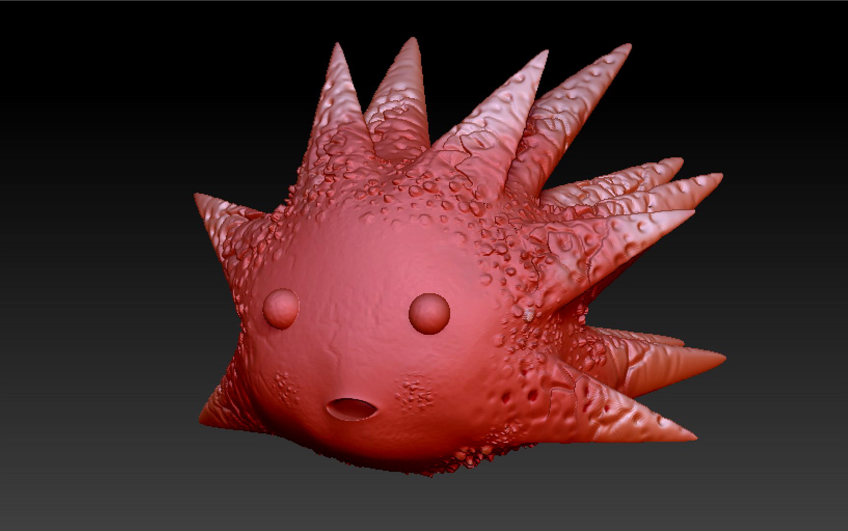sea urchin