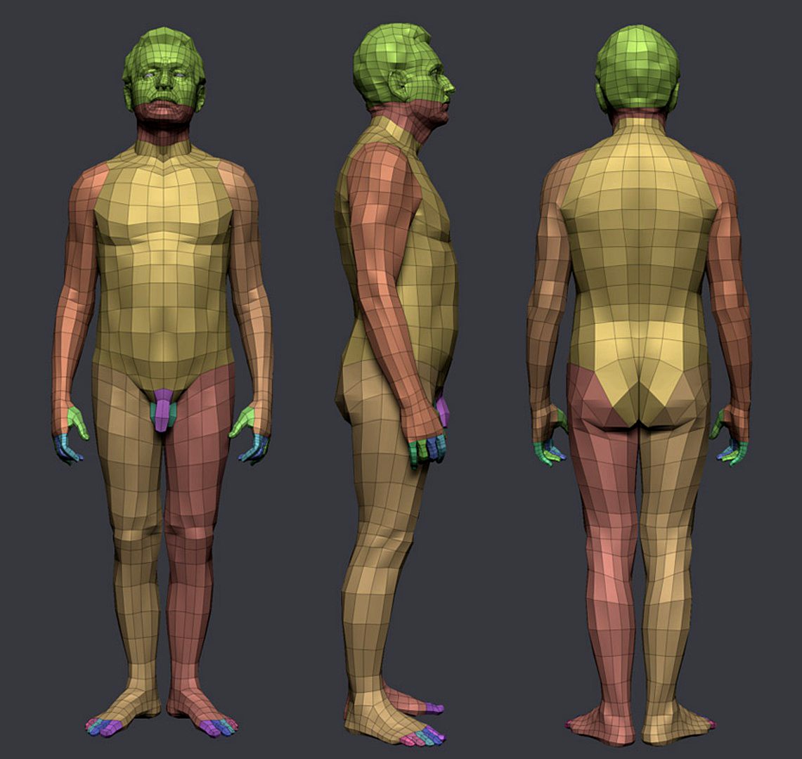 Author 3D Model