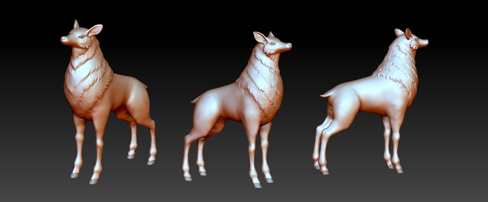 deer