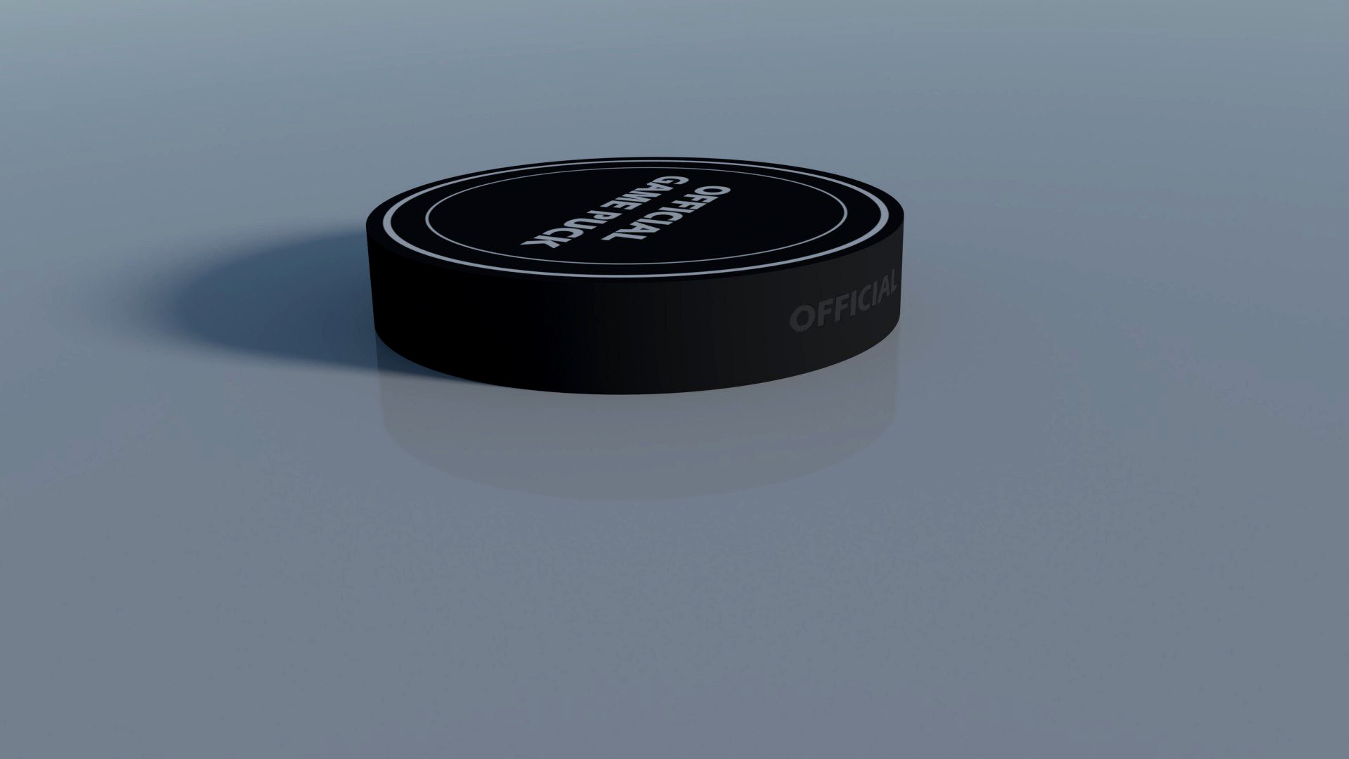 Hockey Puck