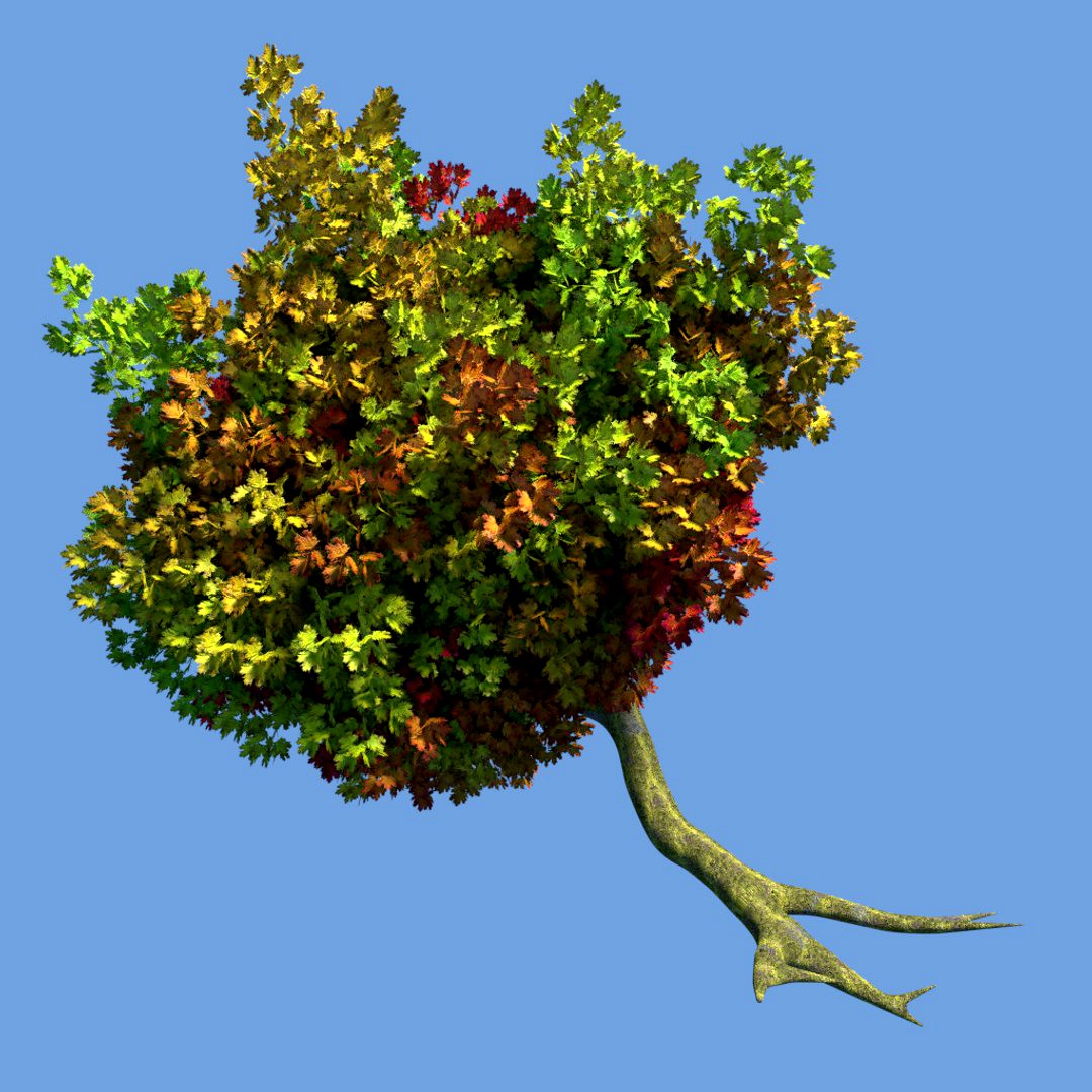 Realistic Tree