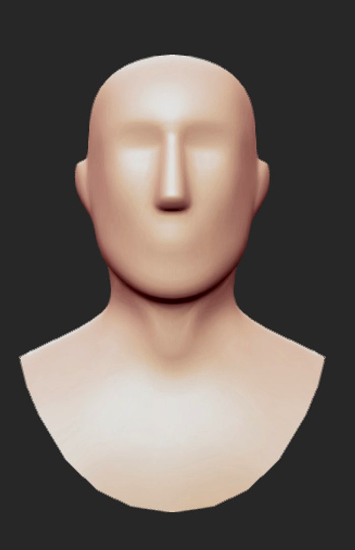 3D Model Head And Shoulder