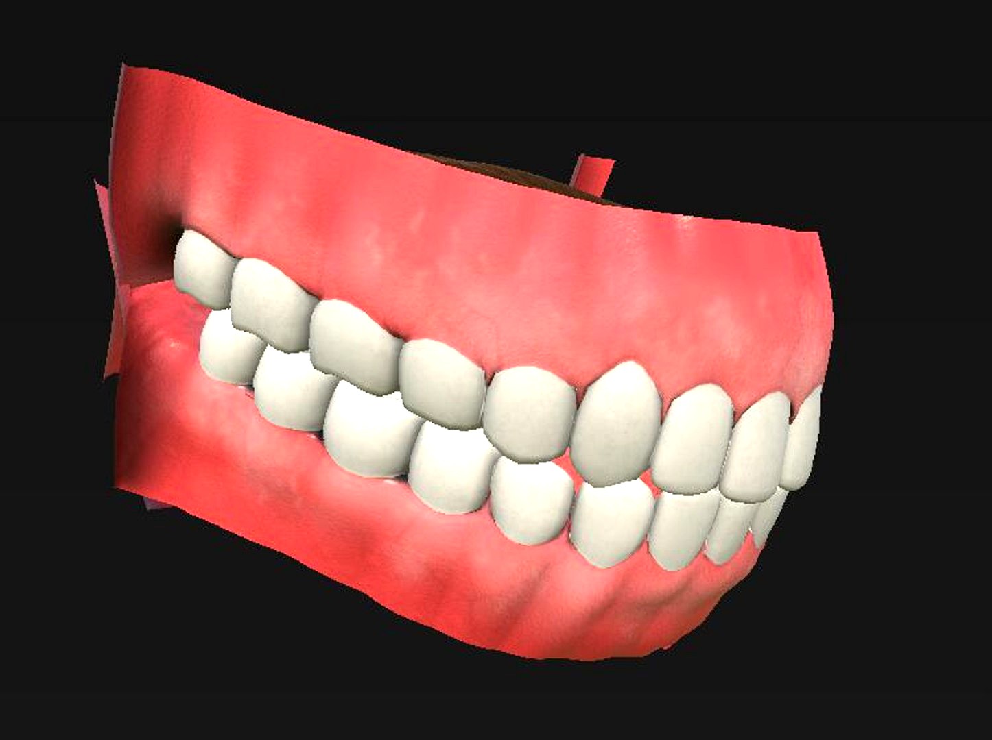 oral cavity