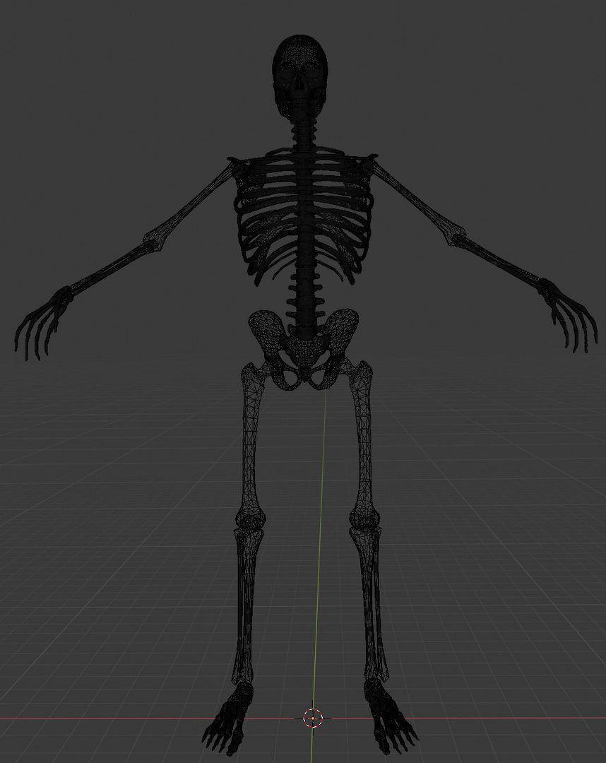 skeleton