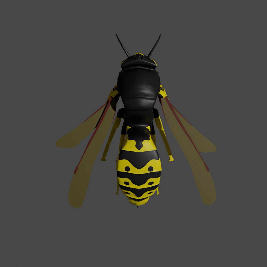 Common Wasp (Vespa Vulgaris)