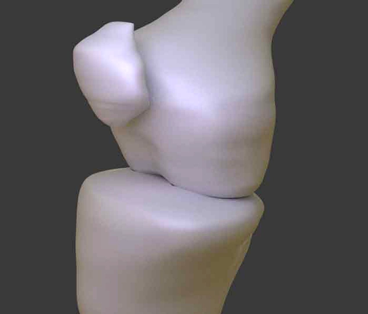 animated knee bone