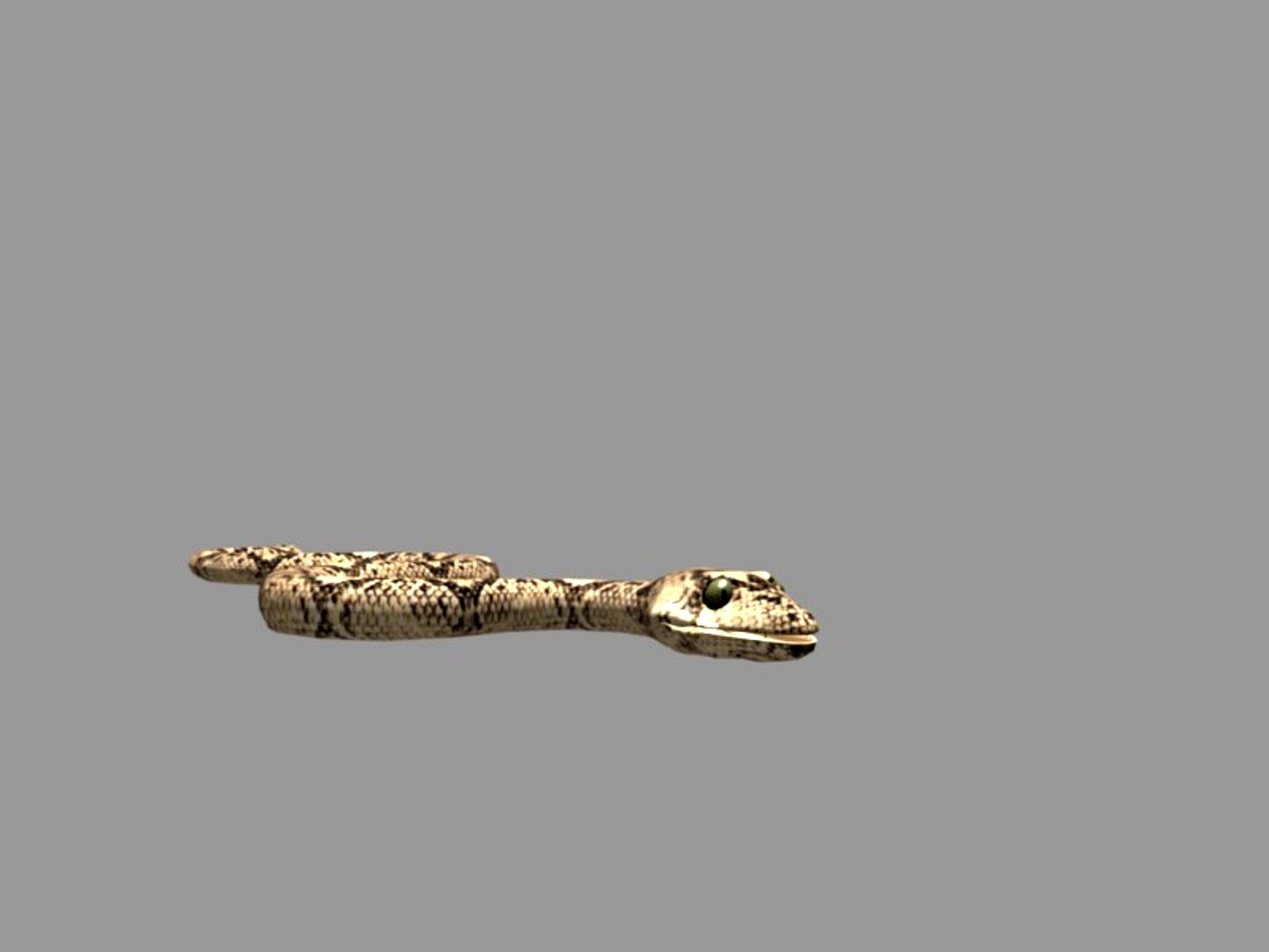Snake