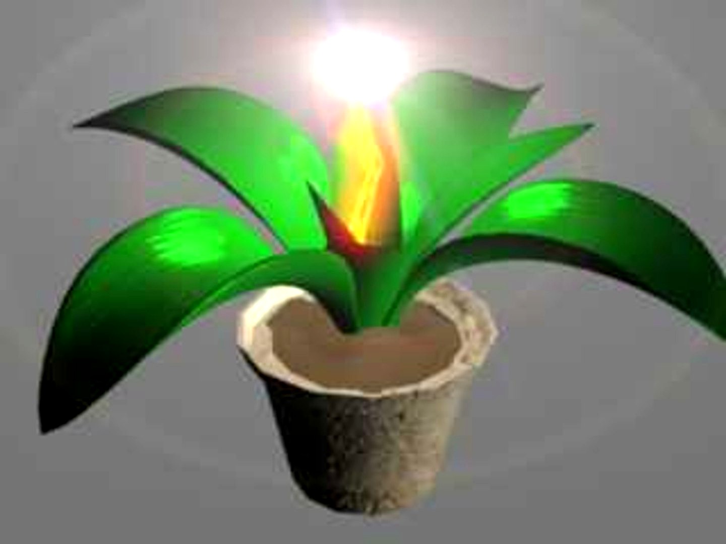 magic plant.max