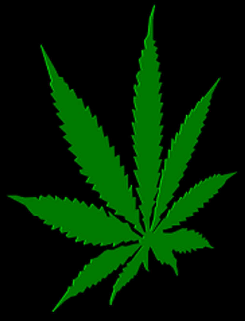 marijuana leaf