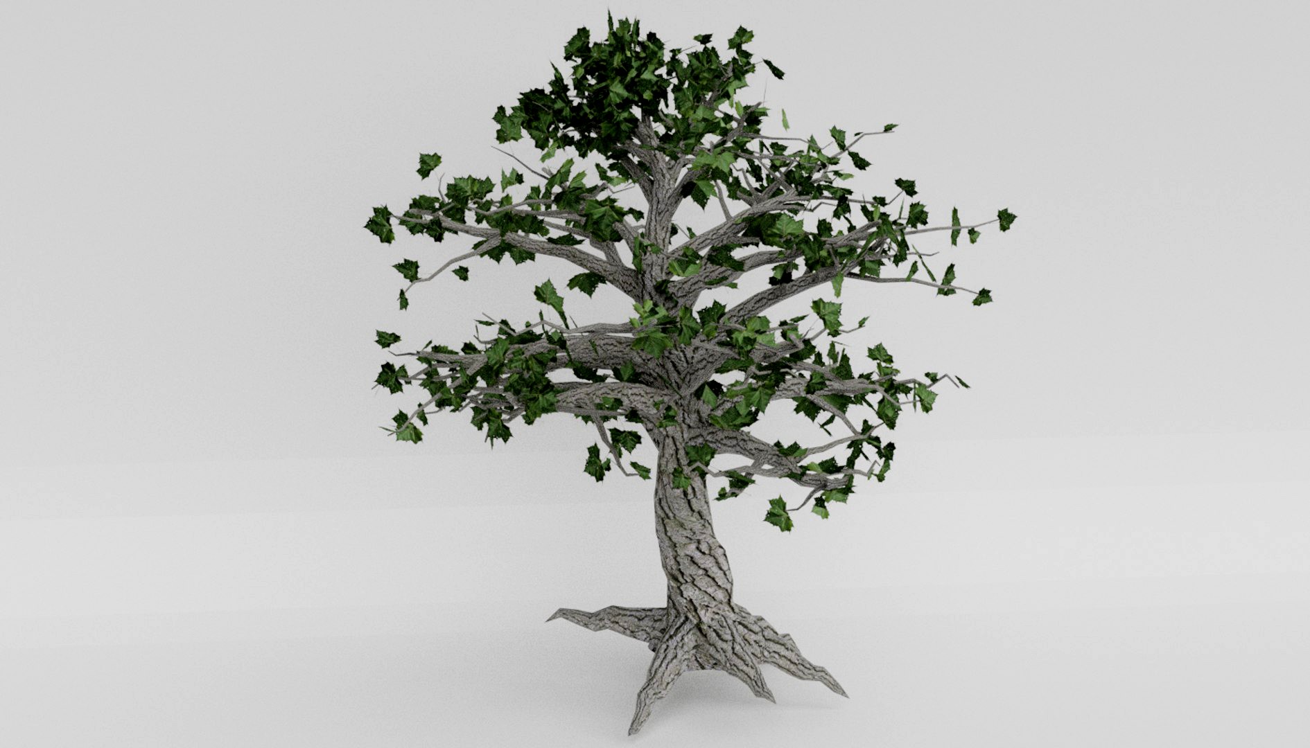 Green tree