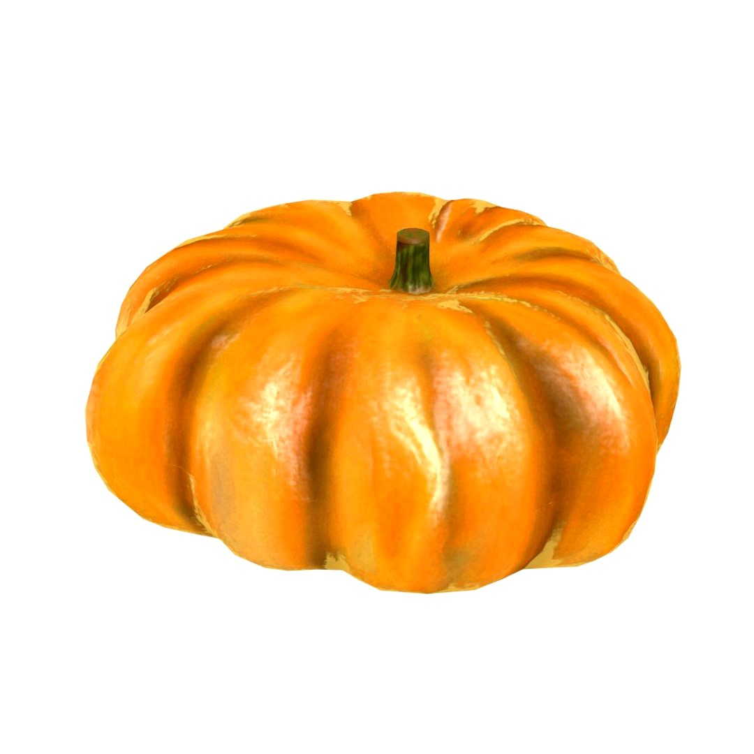 pumpkin