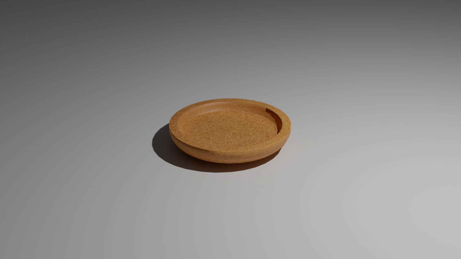 coaster made from cork