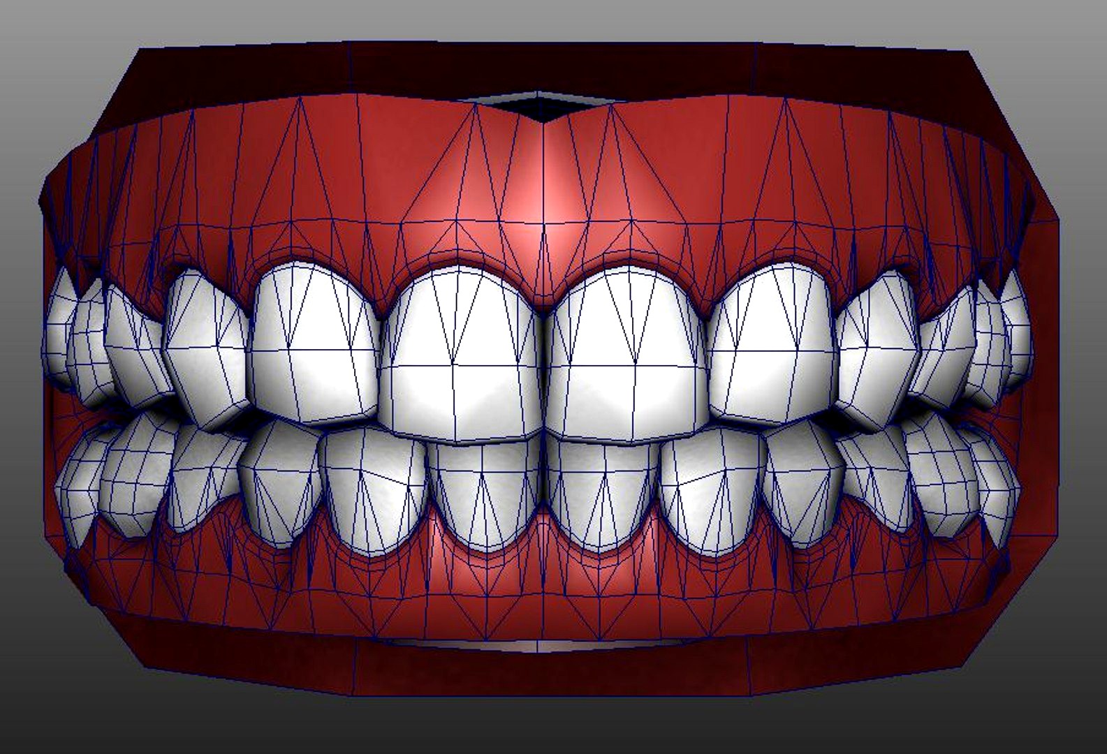 Human Teeth