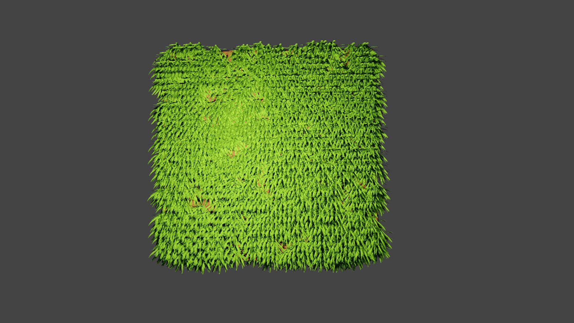 Grass