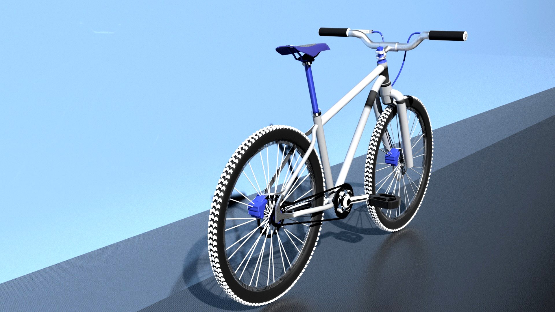 Mountain bike(1)