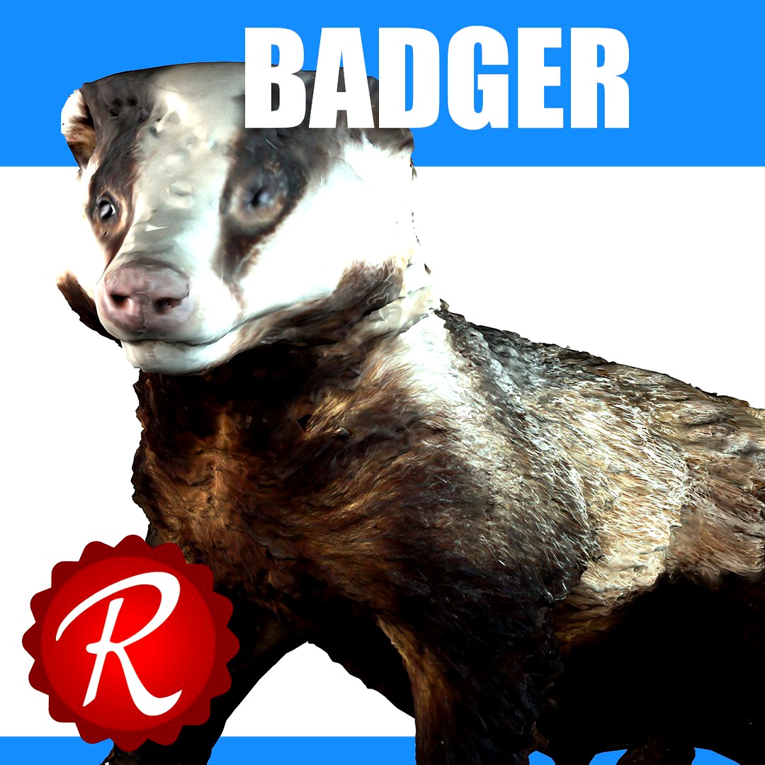 Badger