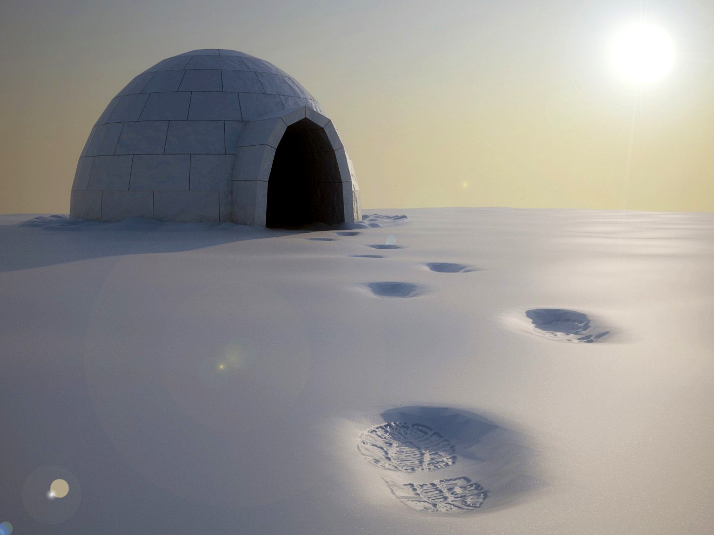 Igloo