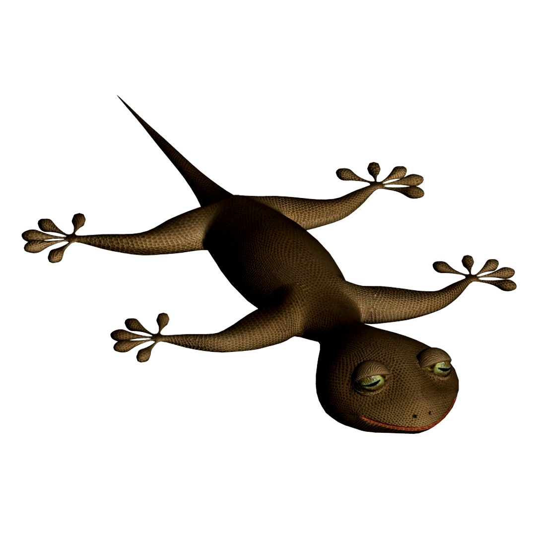 home lizard