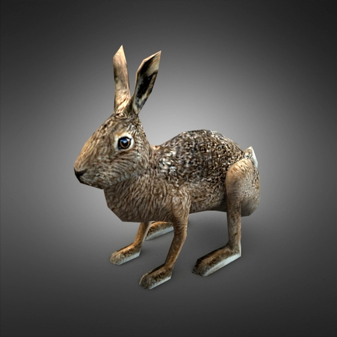 Hare