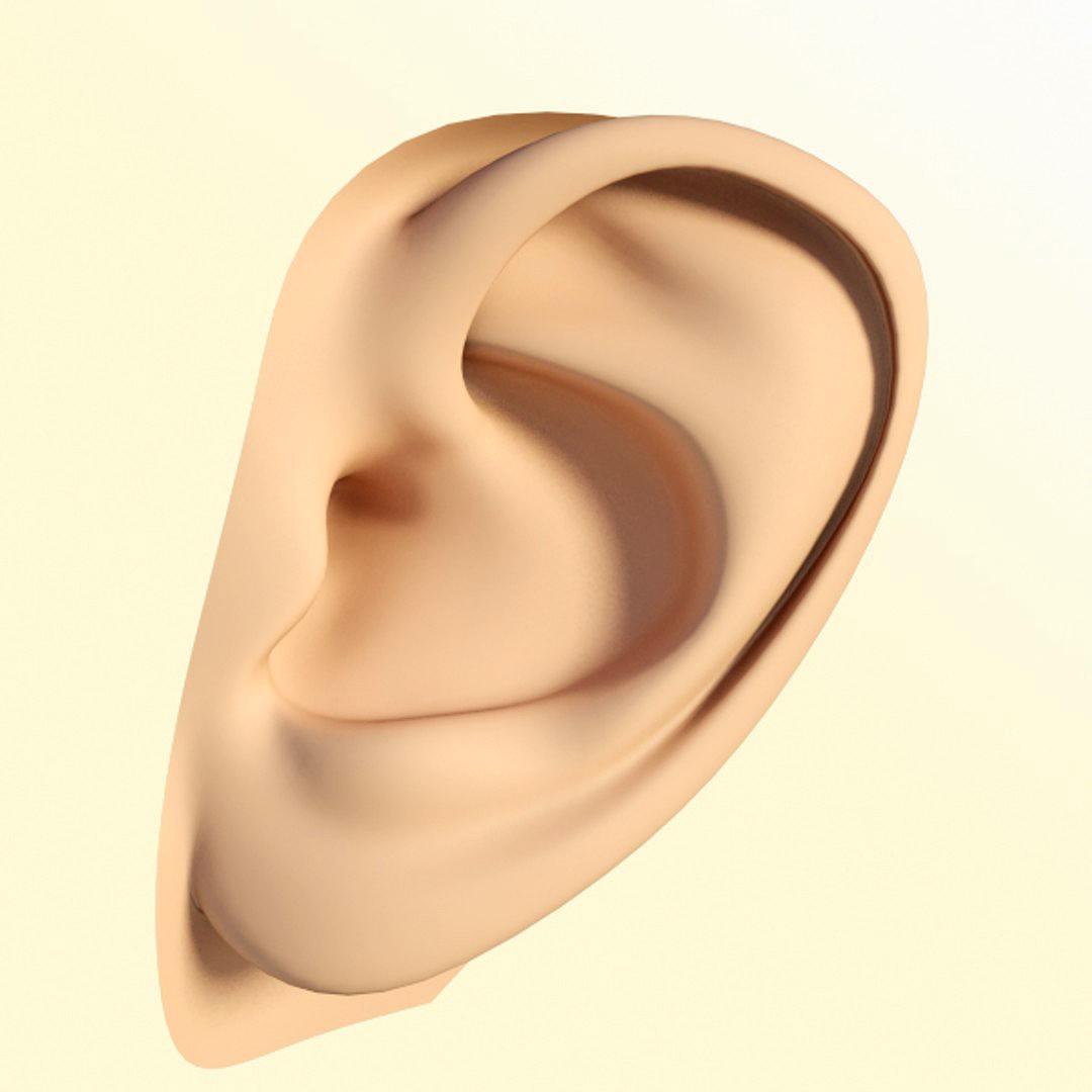 ear