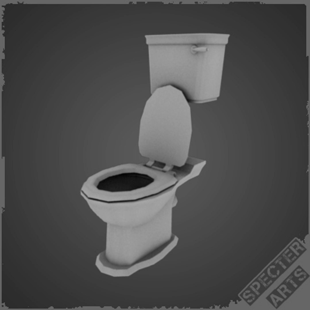 Toilet & Toilet Plunger (LD)