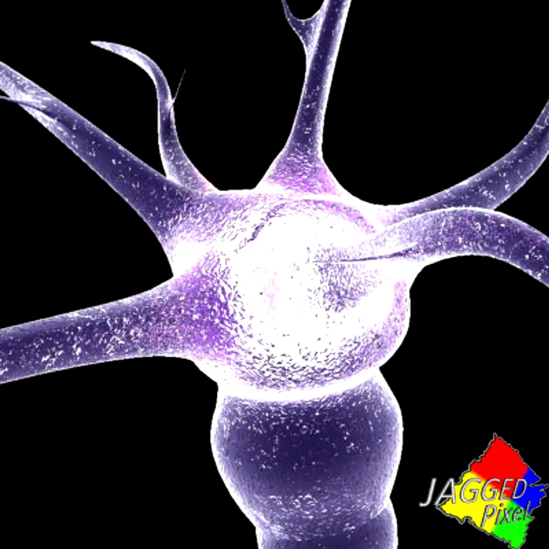 neuron