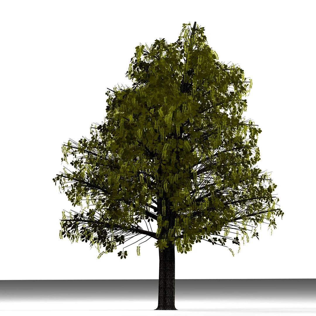 TREE 25