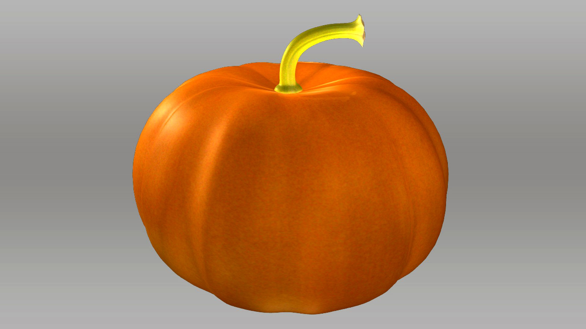 Cucurbita maxima