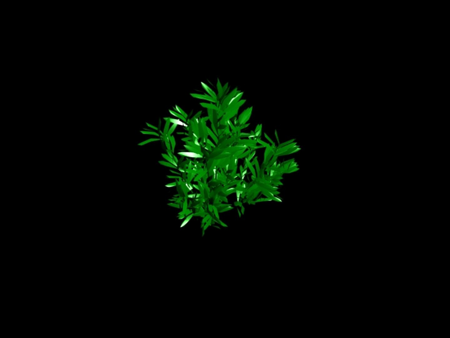 6 different plants