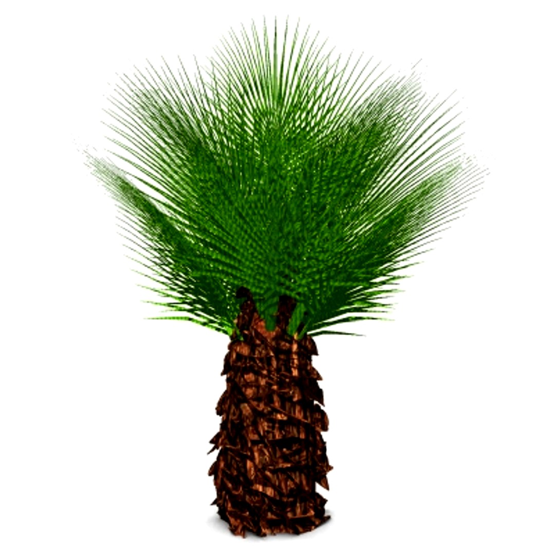 deco palm