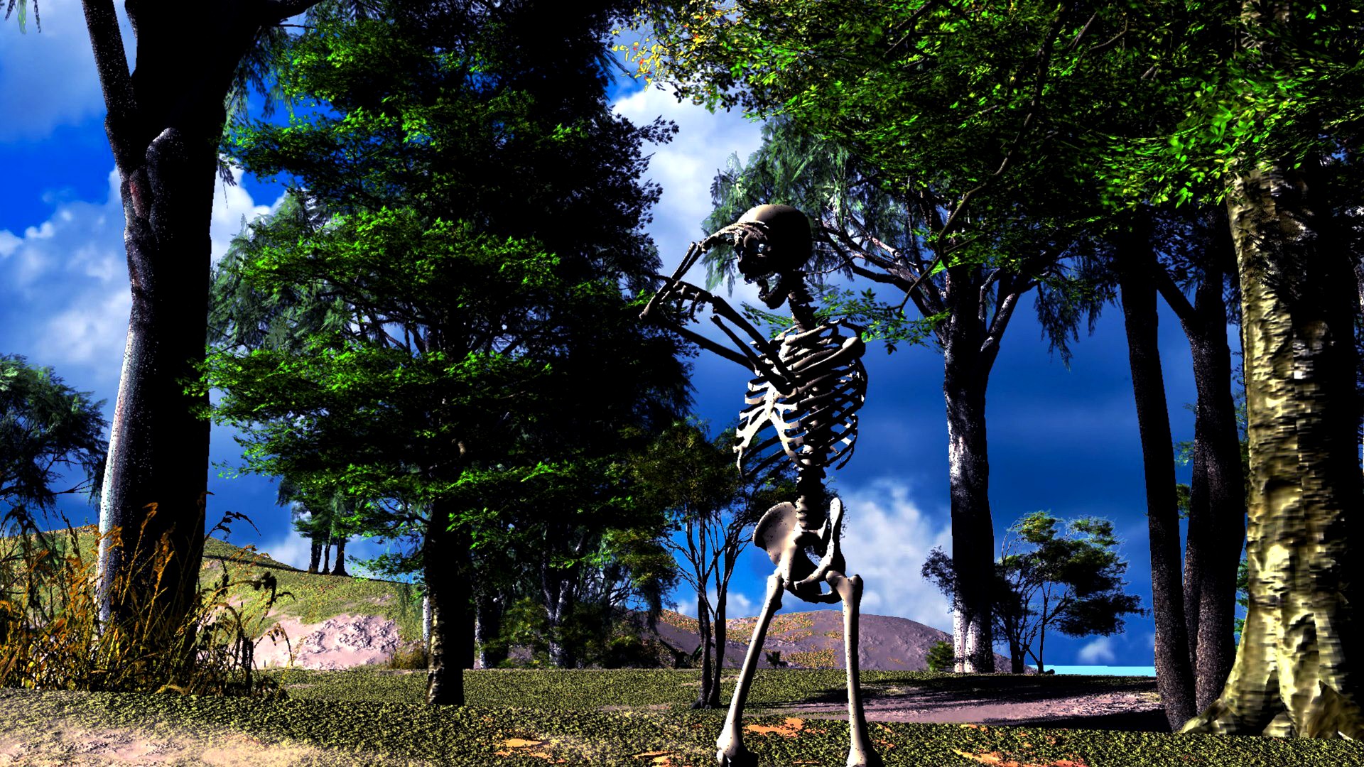 skeleton
