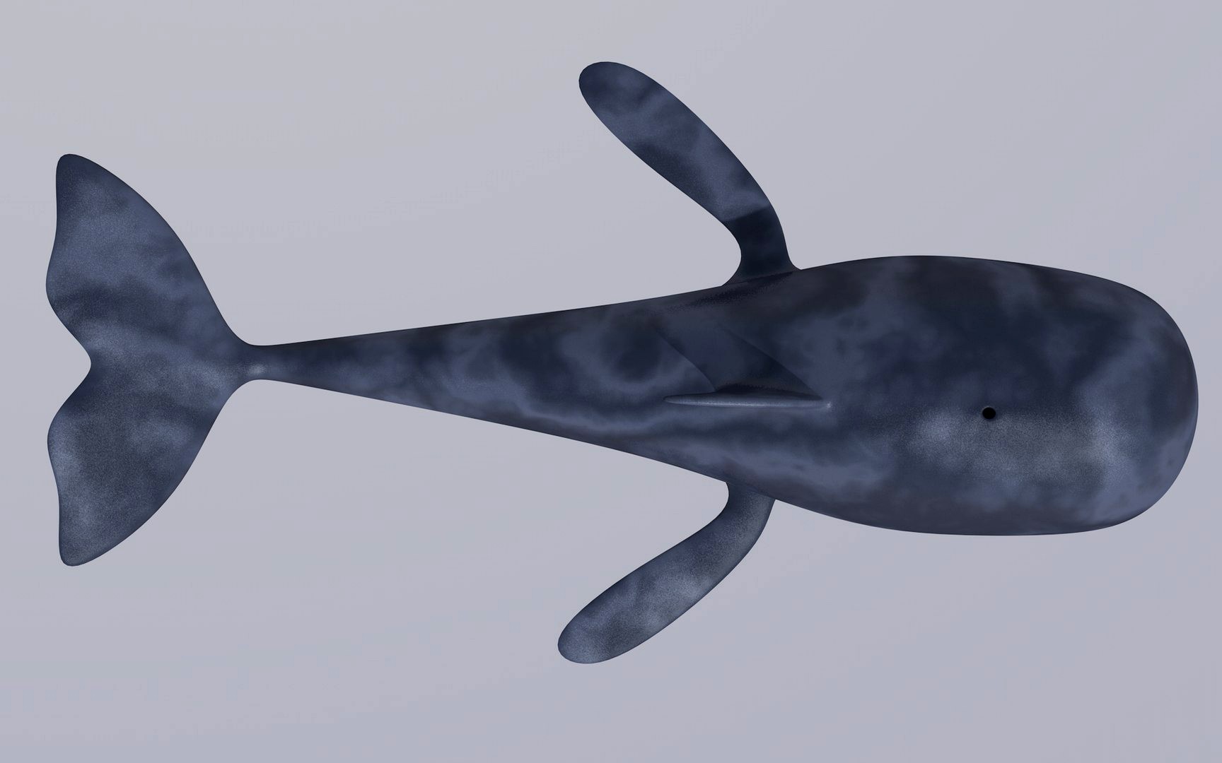 MobyDick Whale