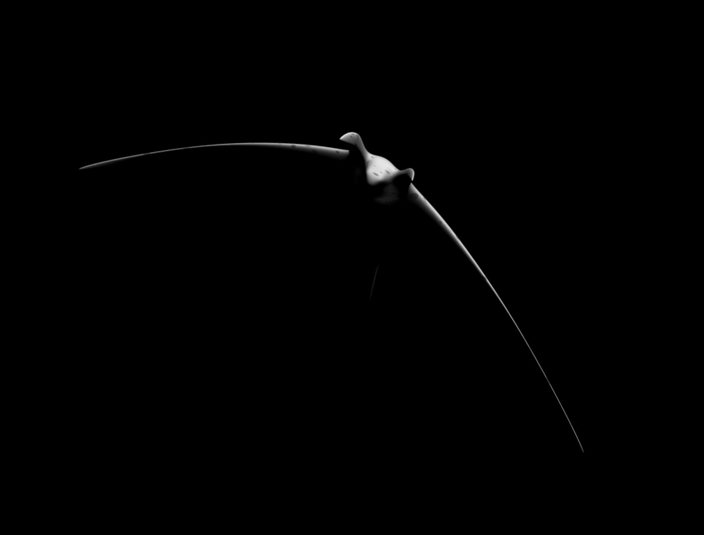something - ray 2