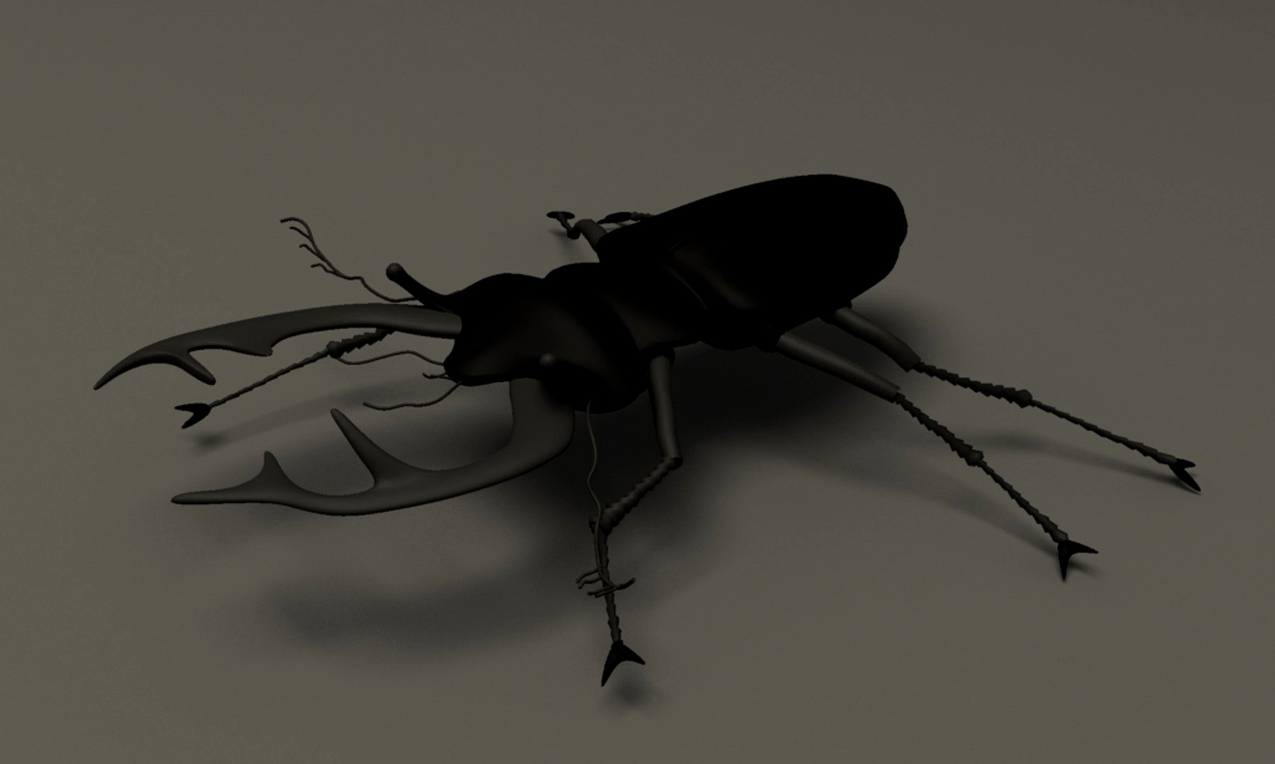 stag beetle