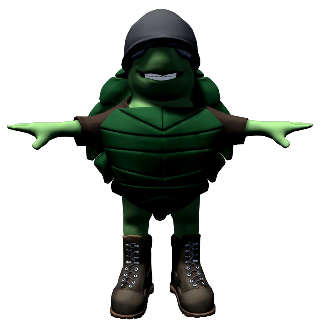 Turtle Character