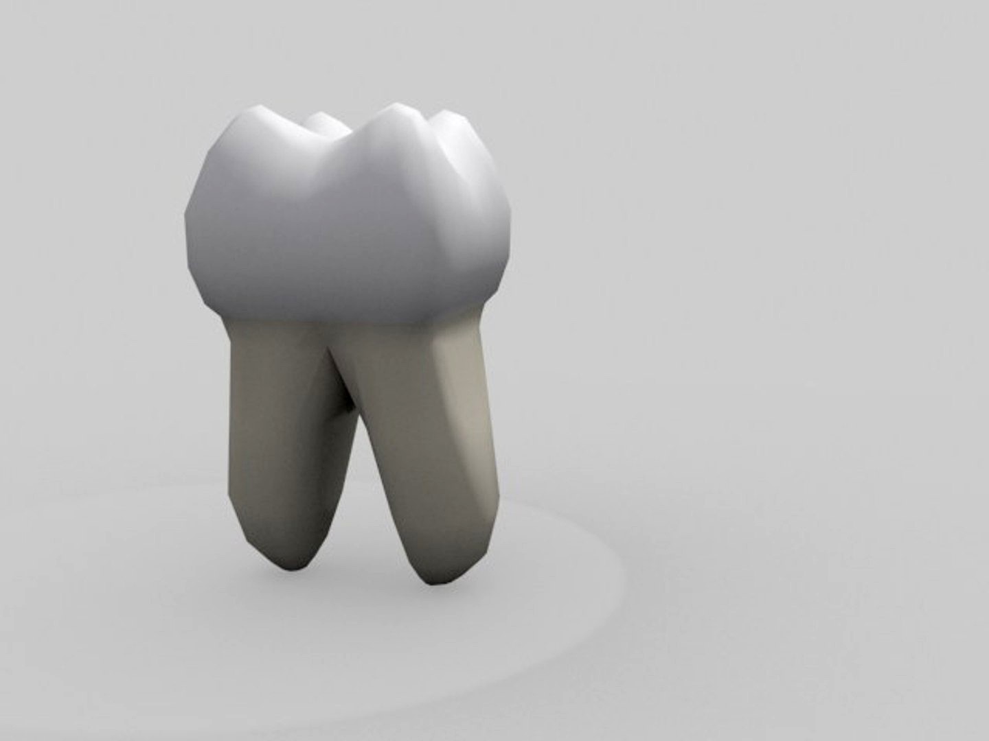 molar teeth