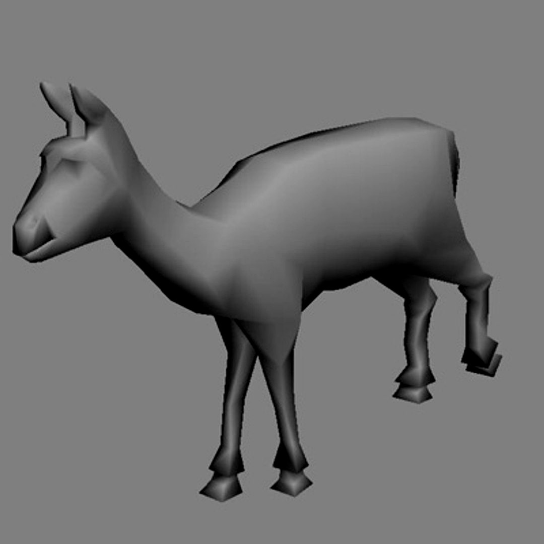 Deer