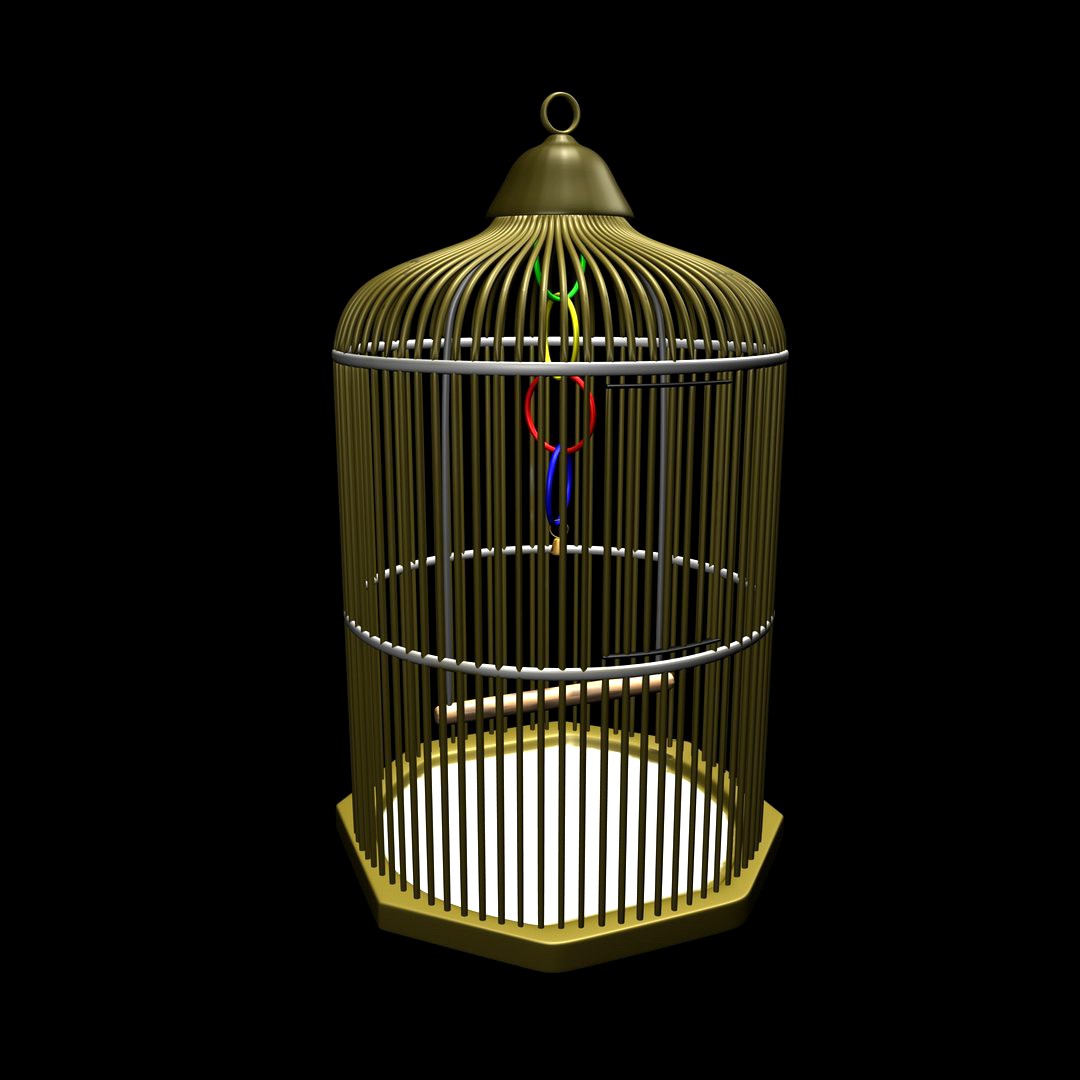 Bird Cage