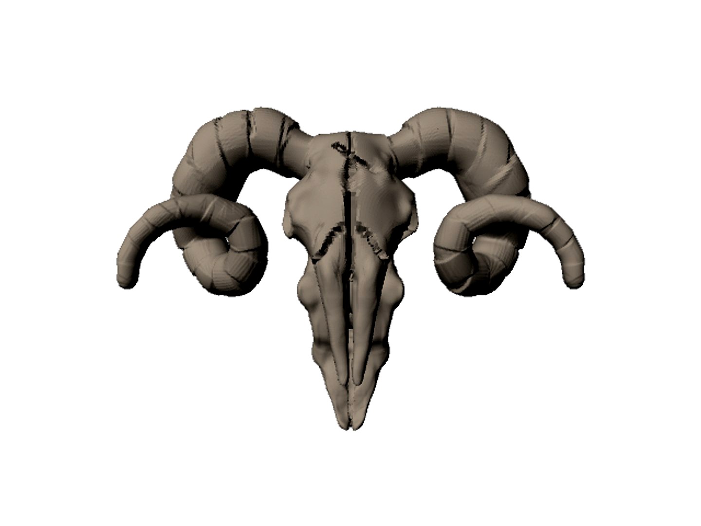 sheep skull