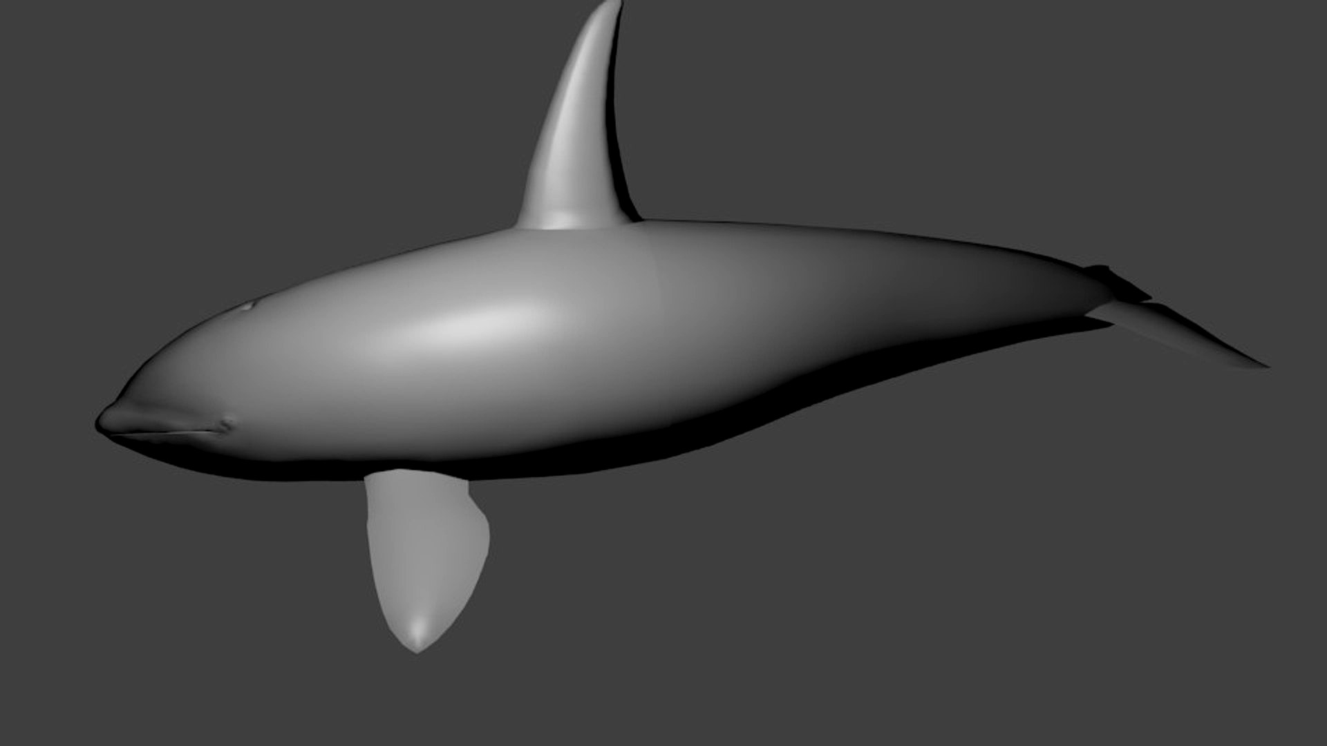 orca